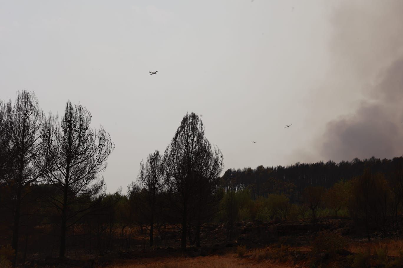 El incendio de Bejís, en imágenes