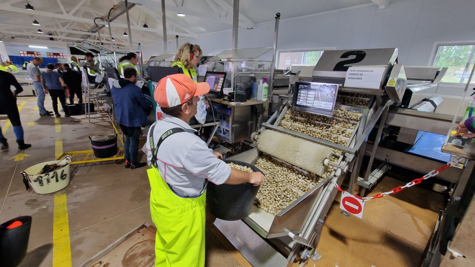 Así es el día a día en el puerto y la lonja de O Testal (Noia), donde cada vez se dan cita más mariscadores arousanos.