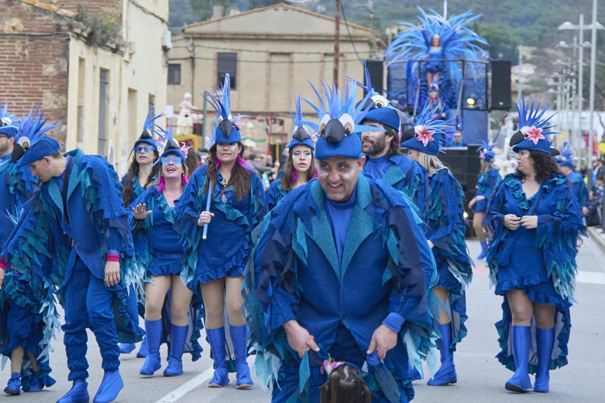 La rua del Carnaval de Santa Cristina d'Aro en imatges La rua del Carnaval de Santa Cristina d'Aro en imatges