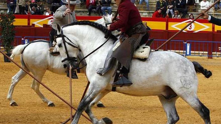 Exhibición de caballos en la plaza de toros, por el Porrate de San Antón