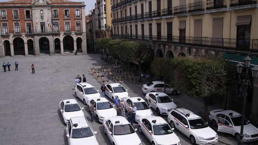 Varios taxis de Zamora concentrados en la Plaza Mayor.