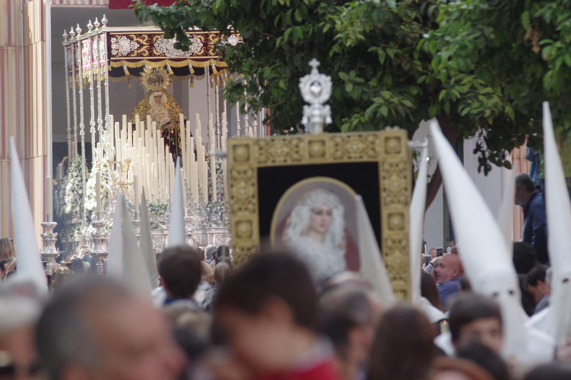 Descendimiento | Viernes Santo 2022