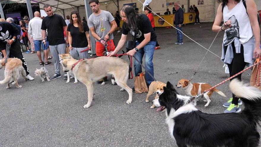 Exhibición canina y suelta de palomas en Baíña