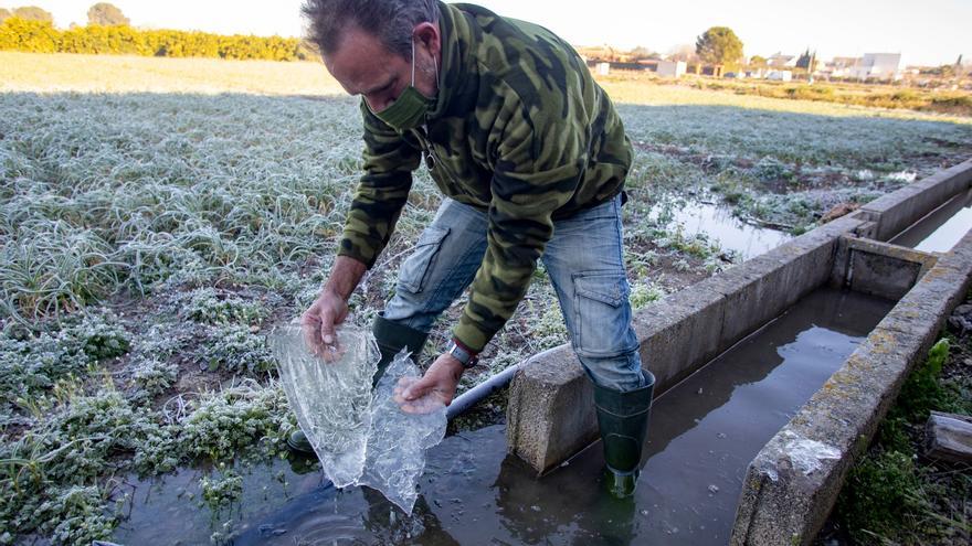 El frío deja heladas en los campos y cultivos de la Comunitat Valenciana