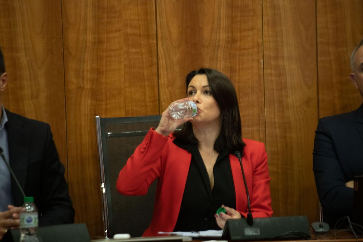 La alcaldesa Carolina Gracia, durante un pleno