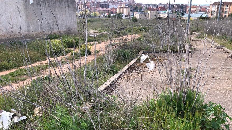 Los vecinos de Alviar denuncia el abandono del barrio zamorano