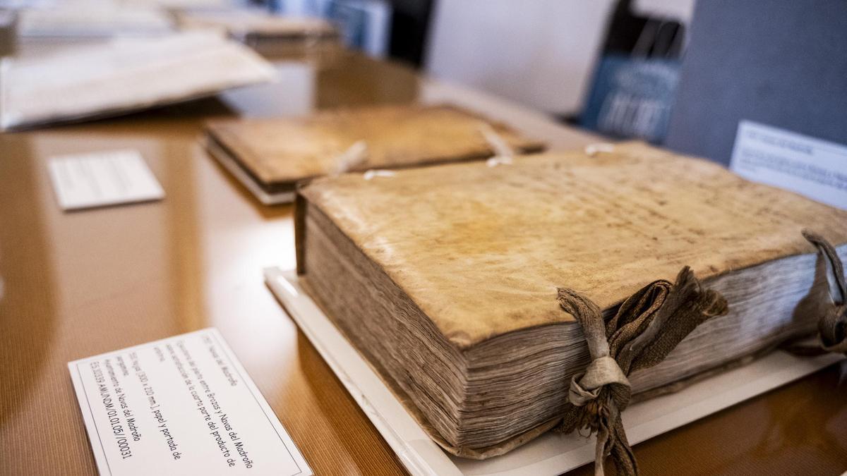 Semana de los archivos de la Diputación de Cáceres.