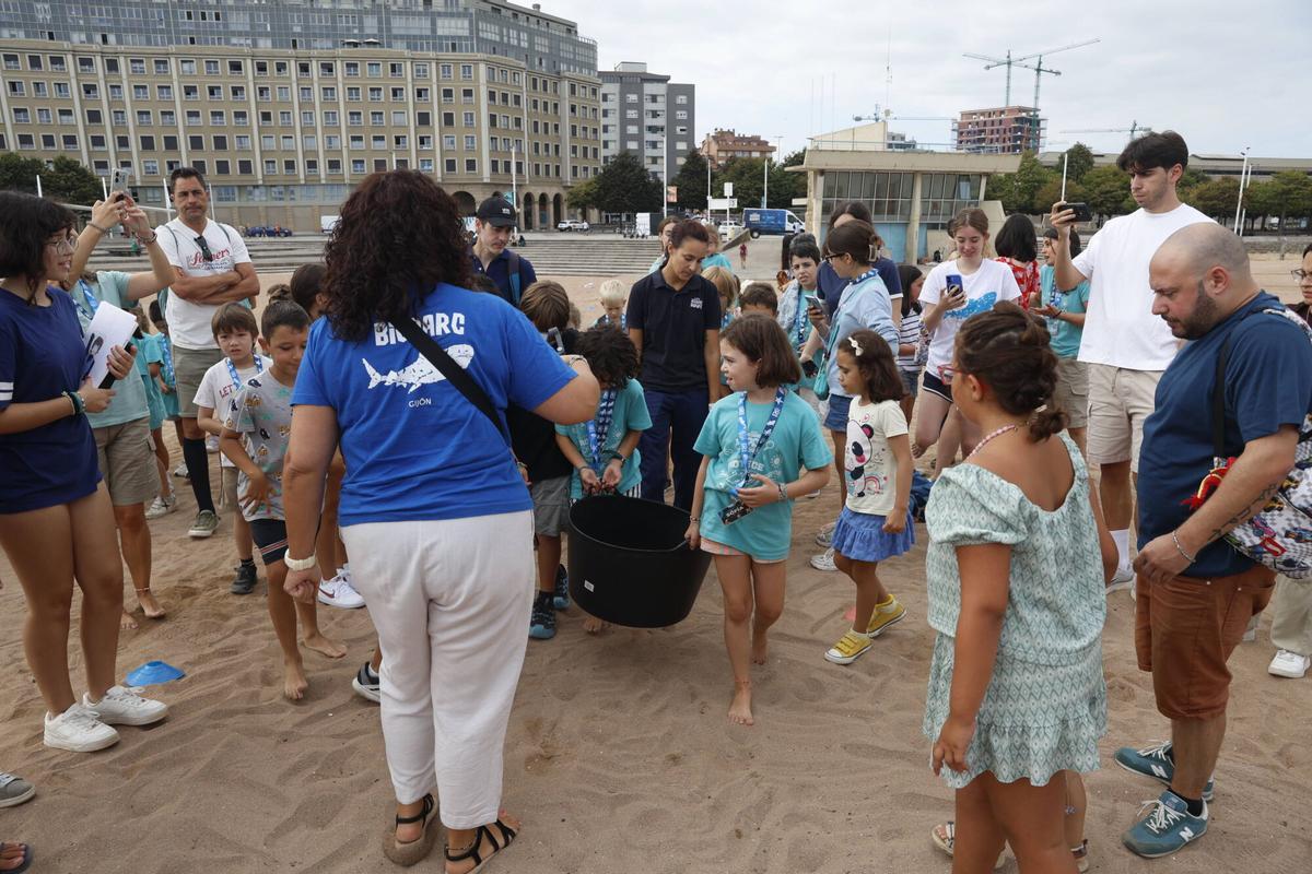 La vuelta al mar de la tortuga lora rescatada en Gijón tras recuperarse en el Acuario, en imágenes La vuelta al mar de la tortuga lora rescatada en Gijón tras recuperarse en el Acuario, en imágenes