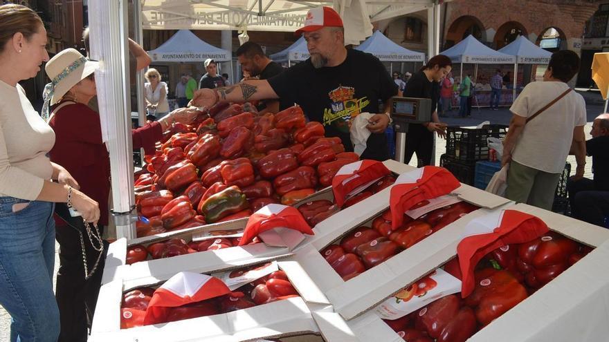 VIDEO | La XXXII Feria del Pimiento de Benavente, ya en marcha