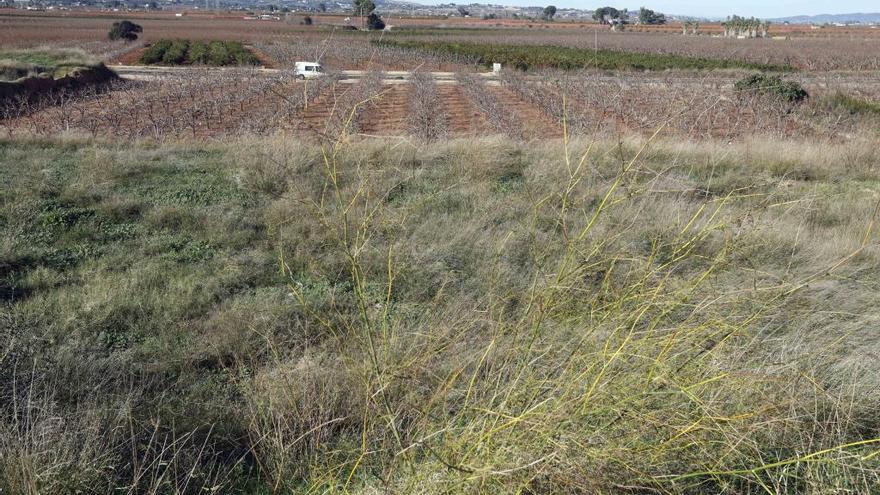 El emplazamiento propuesto por el IGME como potencialmente más idóneo de entre los tres estudiados se ubica, al igual que la planta de tratamiento, en el término de Guadassuar y a aproximadamente un kilómetro de distancia de la misma.