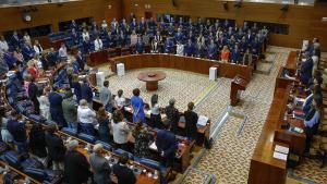 Pleno ordinario de la Asamblea de Madrid