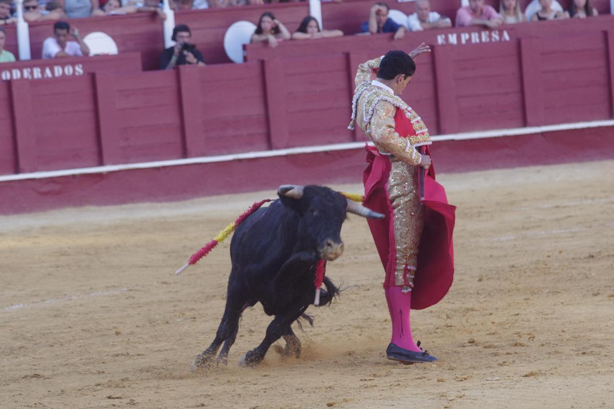 Final del Certamen de Escuelas Taurinas 2025