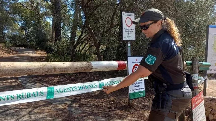 Vídeo | Agents Rurals i Endesa renoven el conveni per revisar línies elèctriques en boscos i minimitzar el risc d'incendi