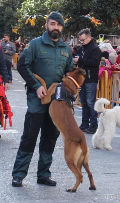 Fiesta de Sant Antoni en la ciudad de València