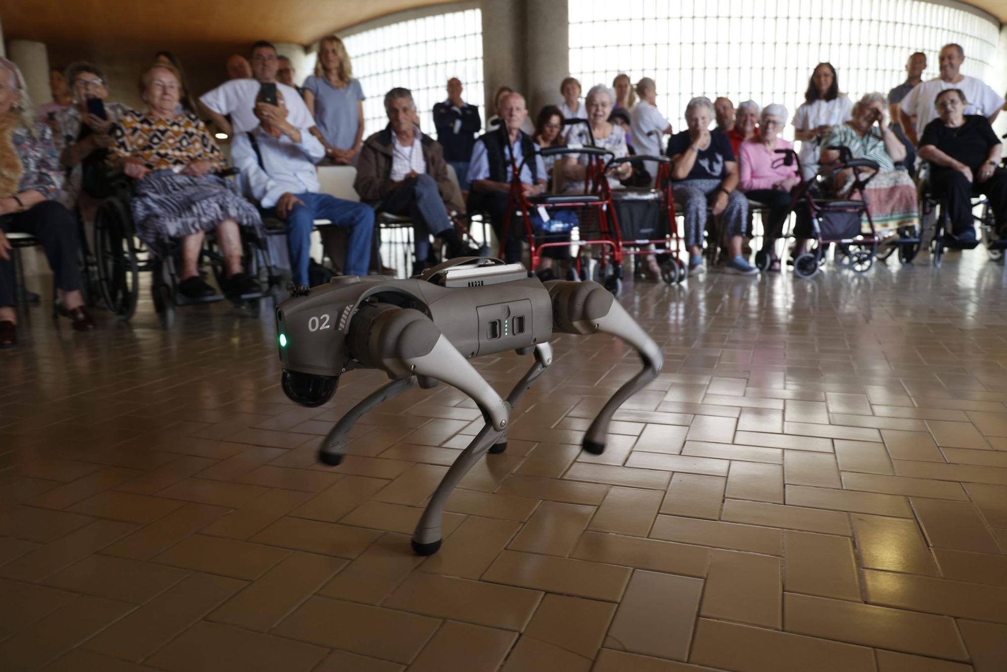 Un humanoide y un perro robot en el Hogar Provincial de Alicante