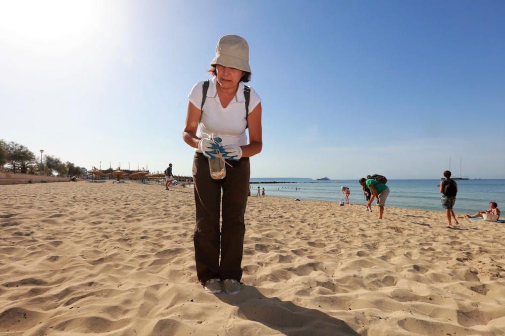 Eine katalanische Organisation hat zum gemeinsamen Müllsammeln aufgerufen. Die Zigarettenreste werden fotografiert und zusammengetragen. Los ging es am Montag (14.8.) an Palmas Stadtstrand Can Pere Antoni.