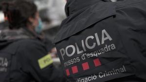 Los Mossos detienen a cinco hombres por robar dieciséis palomas de competición de un palomar en Gavà