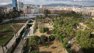 Janet Sanz reprocha a la Generalitat que quiera talar 137 árboles del parque de Joan Miró