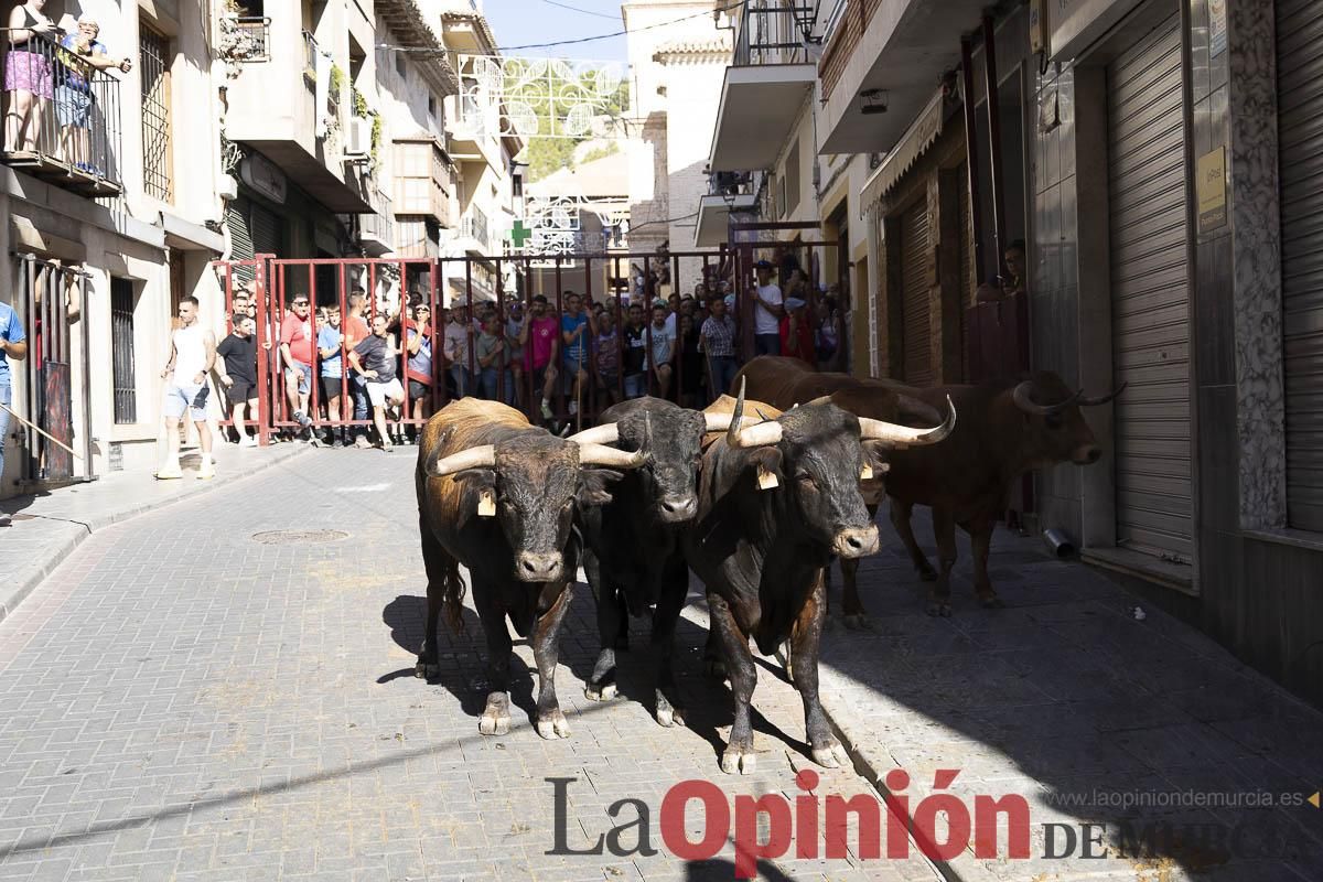 Tercer encierro de las Fiestas de Moratalla