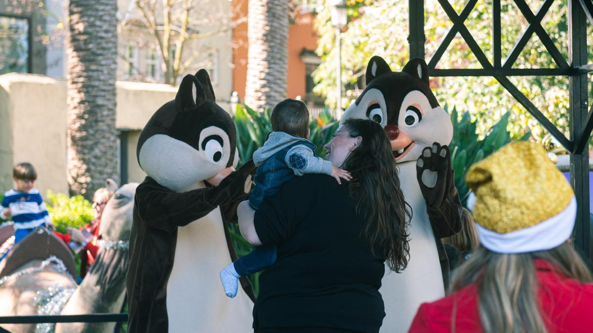 Las entradas estarán a la venta a partir de las 11 de la mañana.
