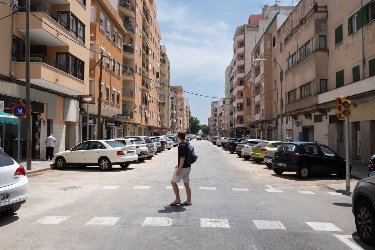 Las fotos de la tala masiva de árboles en las obras de la calle General Ricardo Ortega de Palma