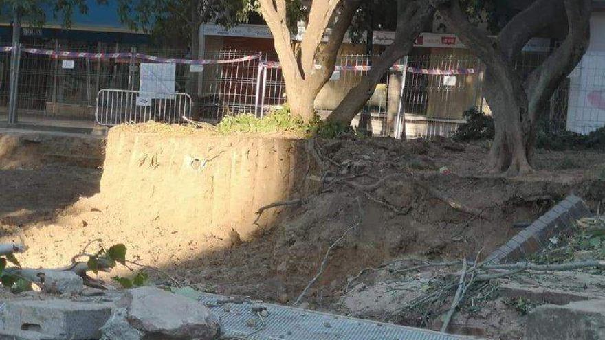 Podemos denuncia daños &quot;irreparables&quot; en el arbolado de la plaza de Salamero de Zaragoza