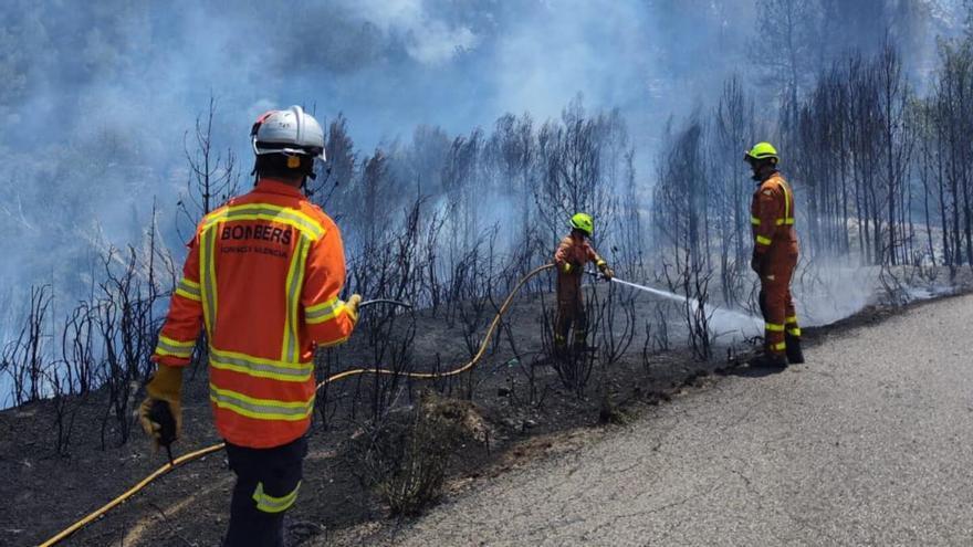 La estimación provisional cifra en casi 4 hectáreas la superficie afectada en el incendio de Montroi