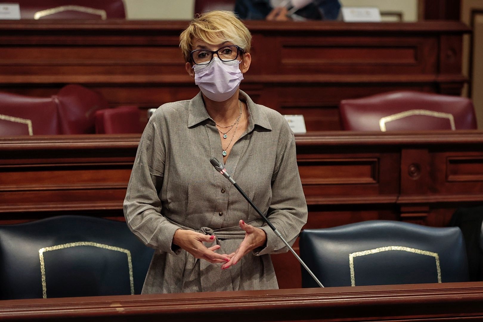 Pleno del Parlamento de Canarias (08/02/2022)