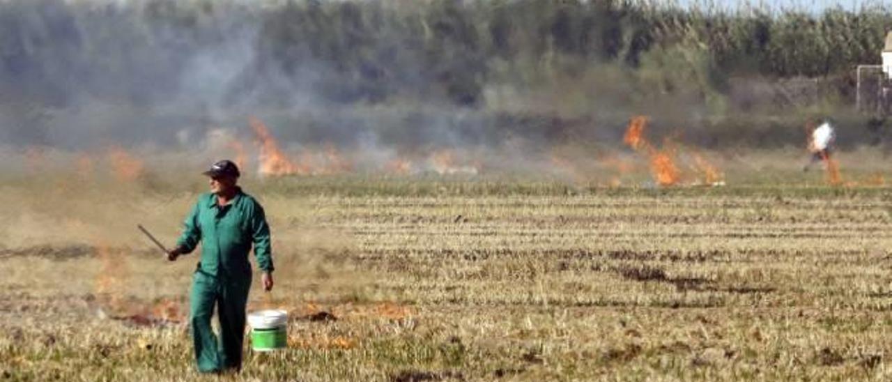 Un agricultor procede a la quema de la paja del arroz en campos de Cullera, ayer.