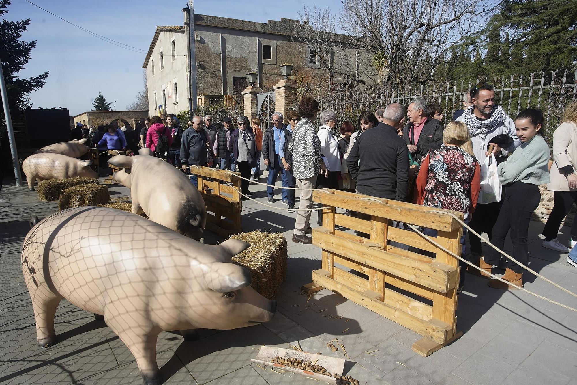 Les imatges de la segona jornada del FIPORC