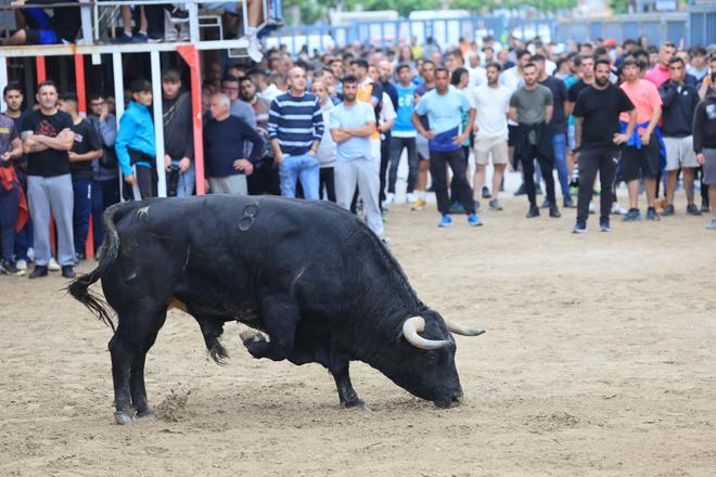 FOTOGALERÍA I Las imágenes de la segunda jornada taurina de las fiestas de Vila-real