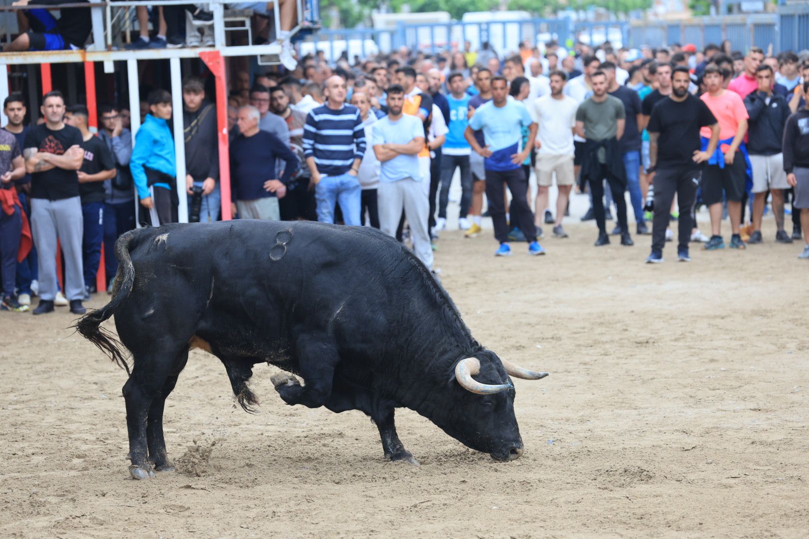 FOTOGALERÍA I Las imágenes de la segunda jornada taurina de las fiestas de Vila-real