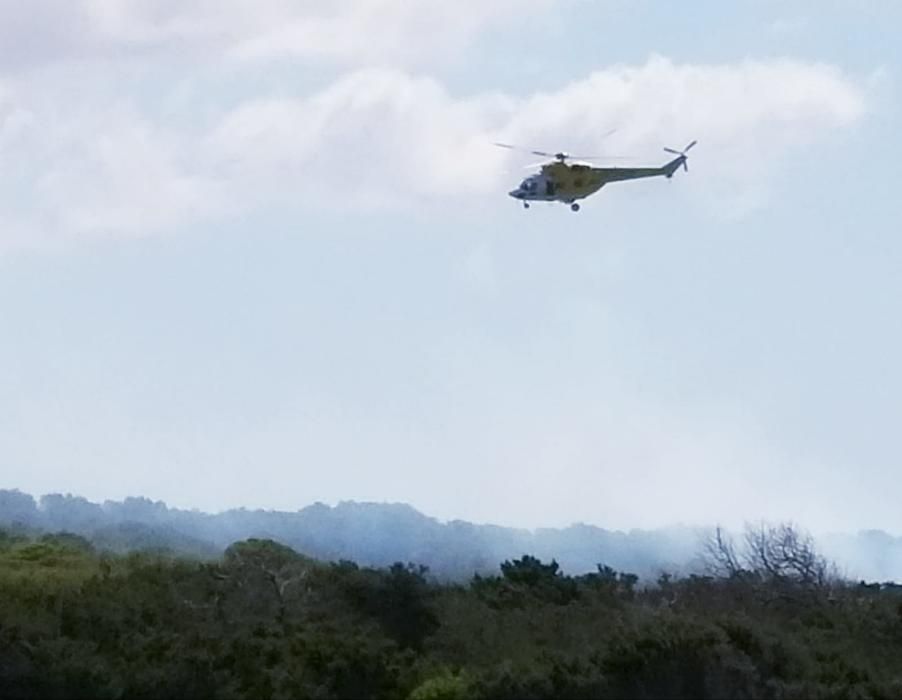 Desalojan a un centenar de bañistas de es Tren por un incendio forestal