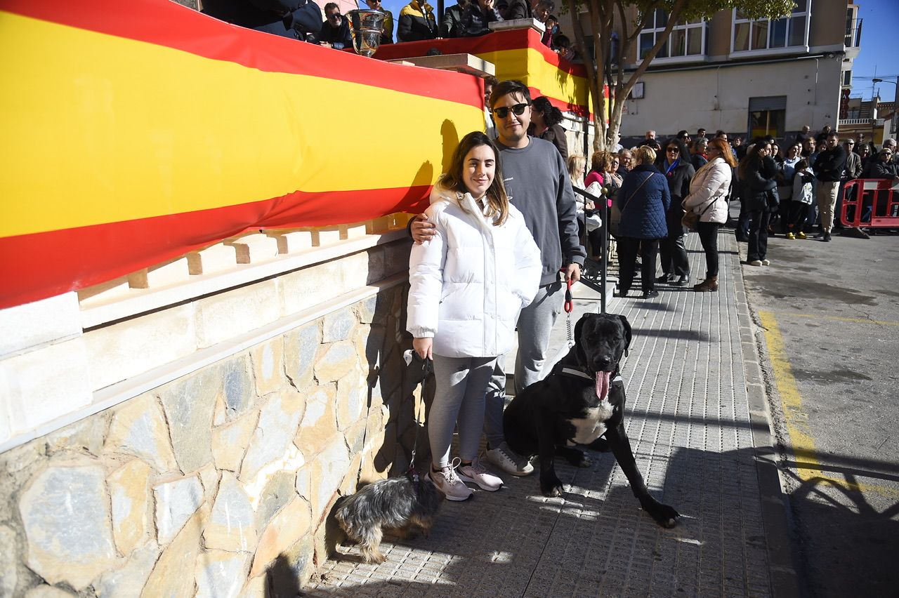 Bendición de animales por San Antón en Cartagena