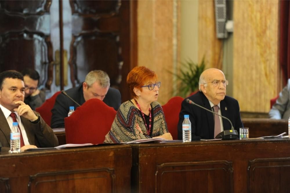 Pleno de Ayuntamiento de Murcia