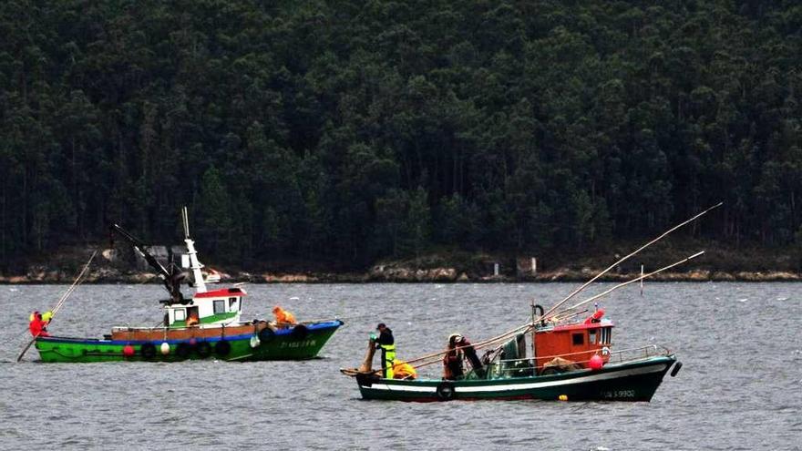 El barco &quot;Manuel y Familia&quot;, en segundo término, durante la pesca de solla en el Ulla. // Iñaki Abella