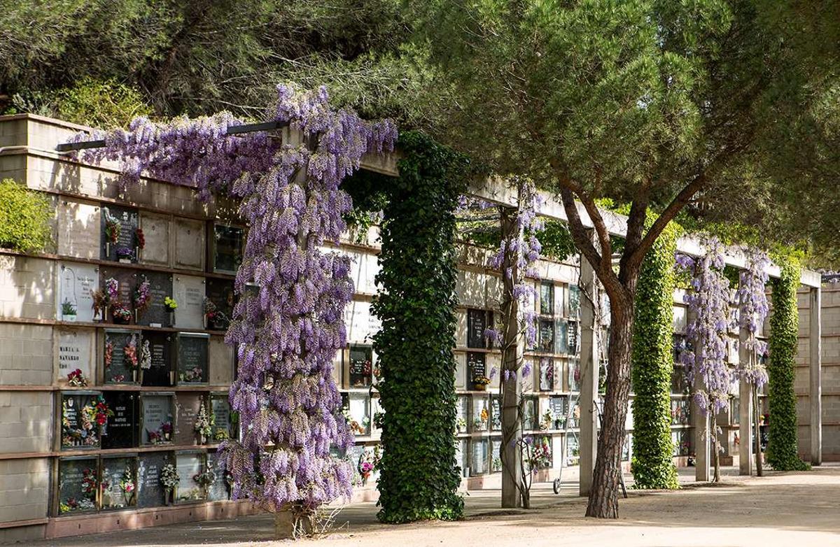 Cementerio de Roques Blanques