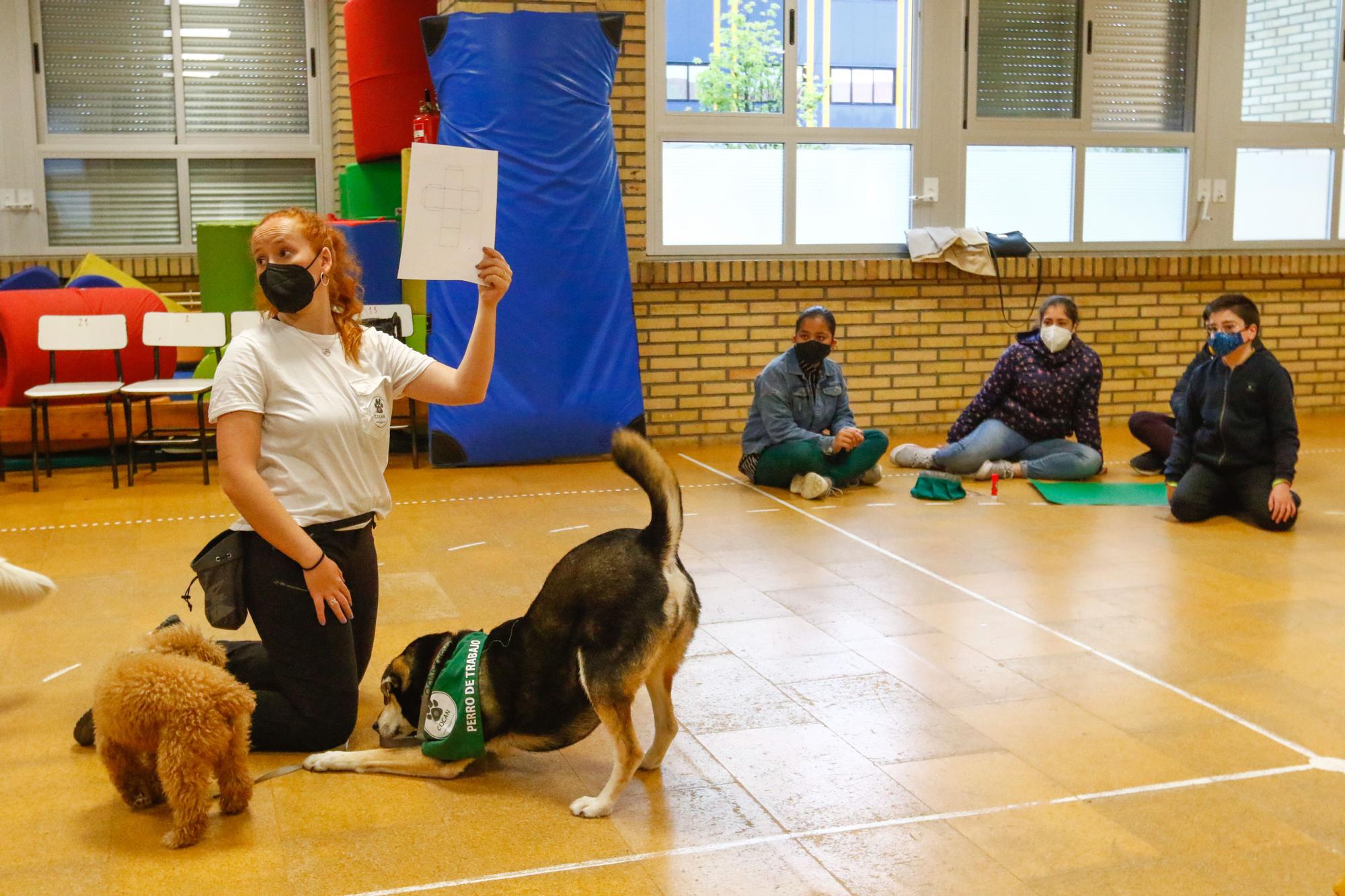Los alumnos del Arealonga aprenden valores con "profes" caninos