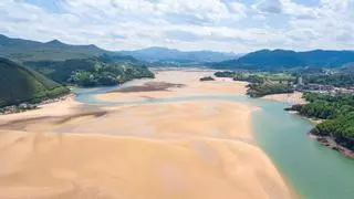 Urdaibai: explosión de naturaleza en el corazón de Euskadi