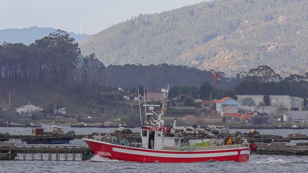 Un barco del cerco en la ría de Arousa, esta tarde.