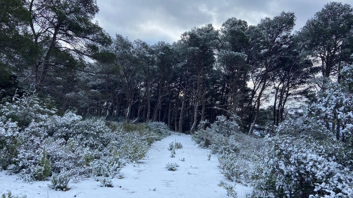 Bajada de temperaturas en Ibiza: Un manto de granizo cubre varias zonas de la isla.