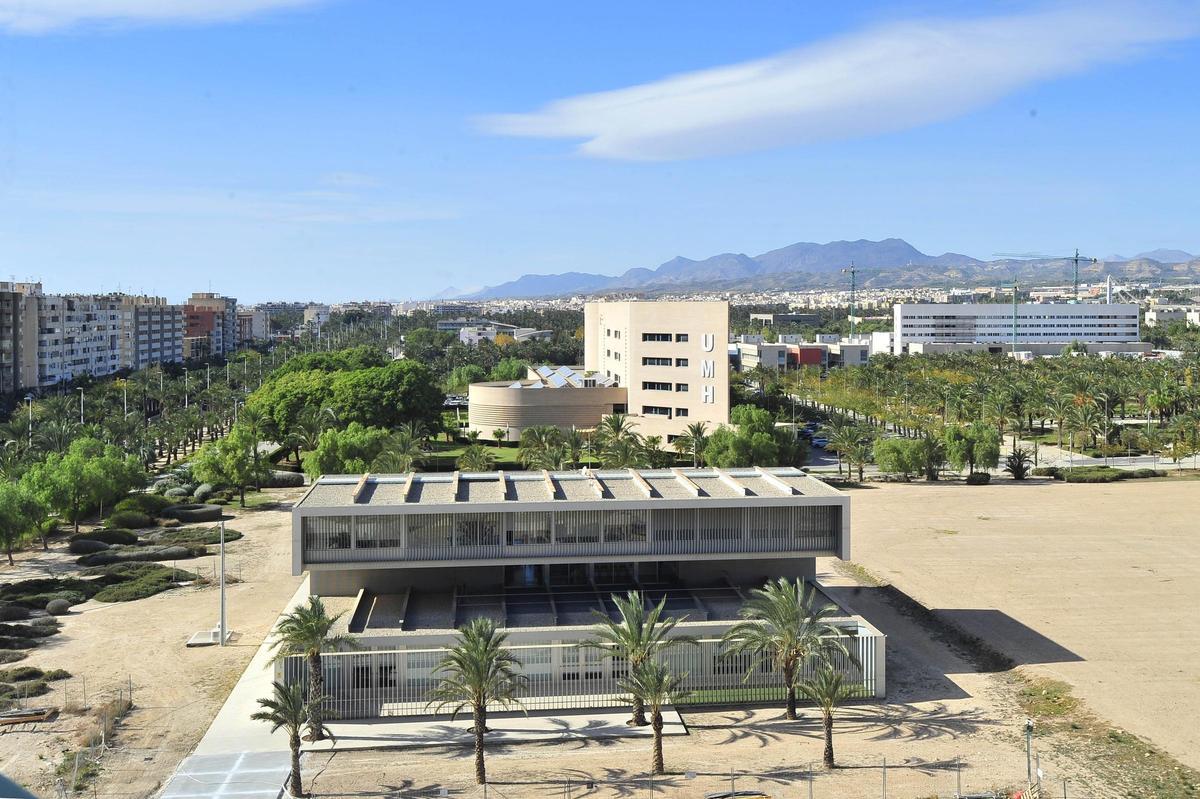 Elche, Panoramicas del campus de Elche de la UMH desde el edificio Valona