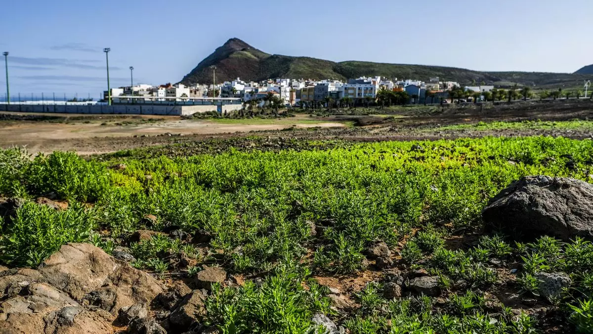 Las Palmas de Gran Canaria debe pagar 14 millones por terrenos expropiados en La Isleta en 1989