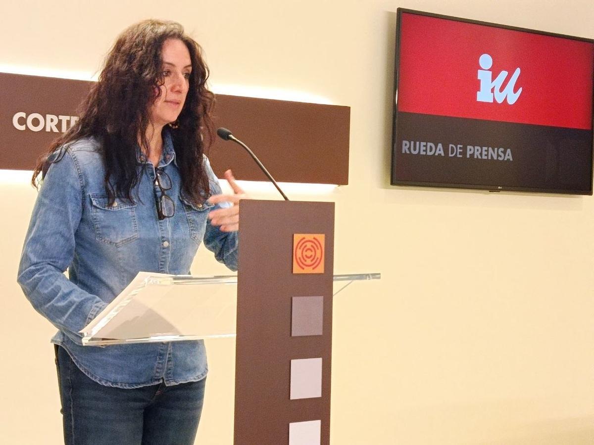 La portavoz de IU en las Cortes de Aragón, Marta Abengochea, este viernes en rueda de prensa.