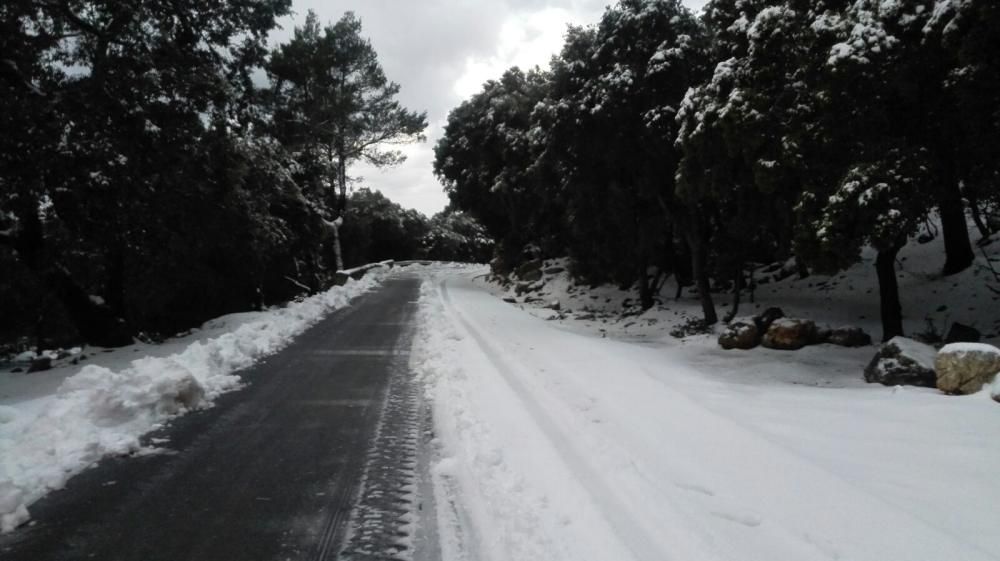 Mallorca, en riesgo importante por nevadas este sábado