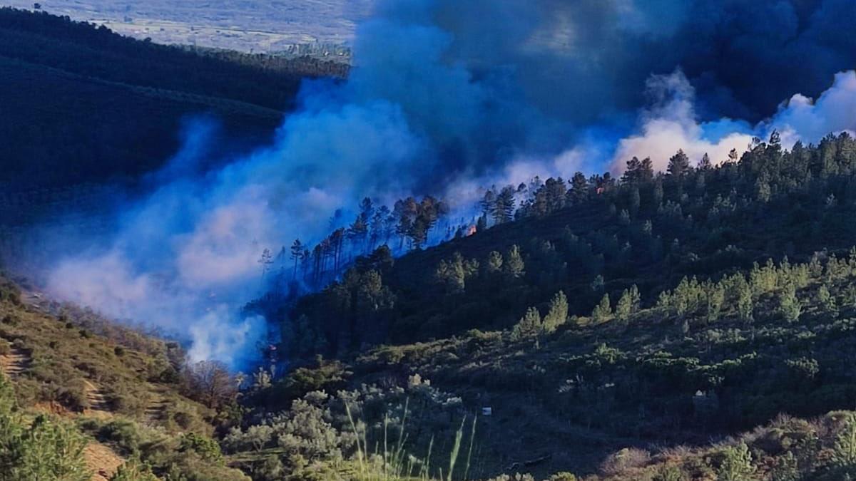 Fuego en Valverde del Fresno ayer.