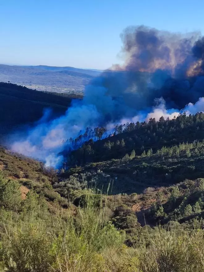 Controlado el incendio forestal de Valverde del Fresno