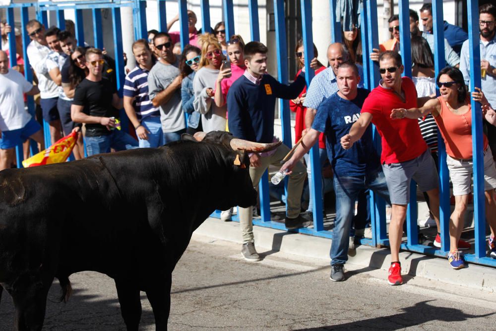 Encierro Urbano Bóveda de Toro