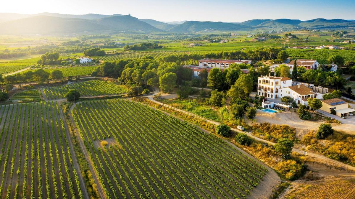 Vista aérea de la Finca Mas Lluet (Castellví de la Marca), de las cavas Bolet.
