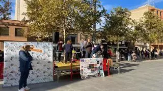 Una multitudinaria marcha celebra en Vila-real el Día Internacional de las Personas con Diversidad Funcional